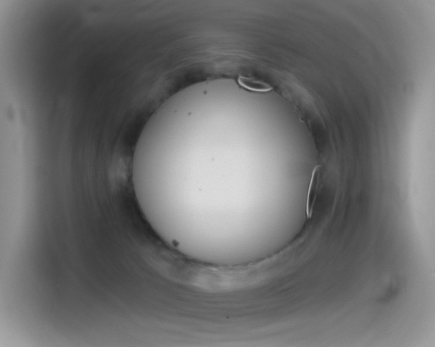 X0000114490033200910191125