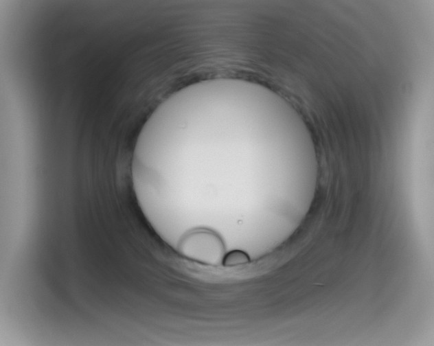 X0000114490034200910191125