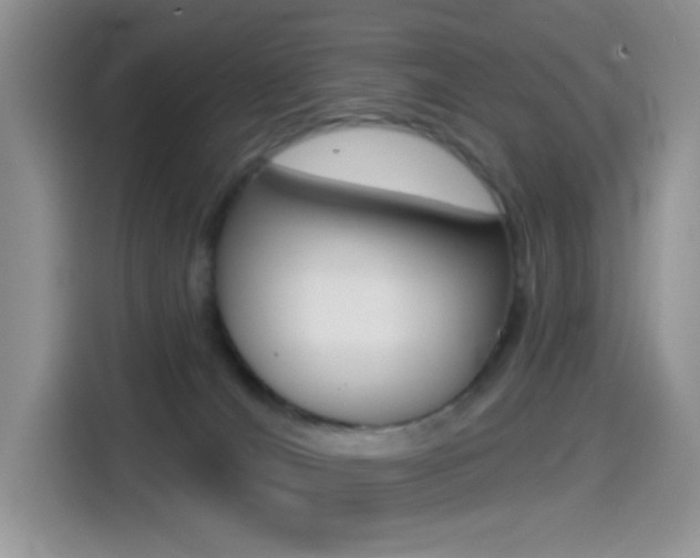 X0000114490036200910191125