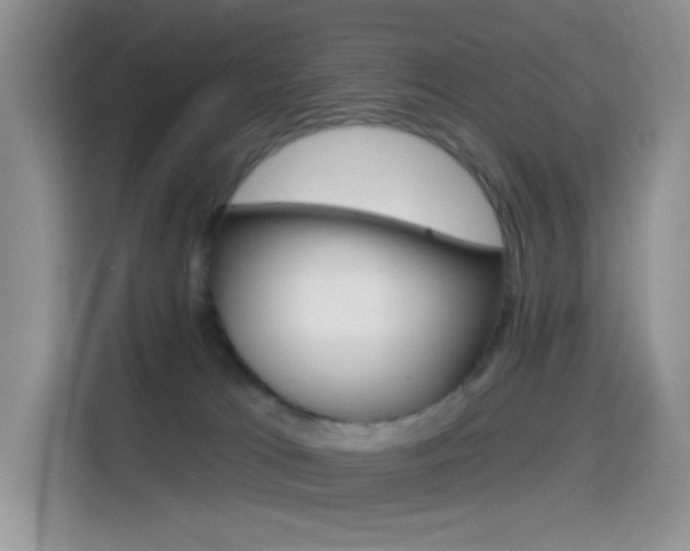 X0000114490037200910191125