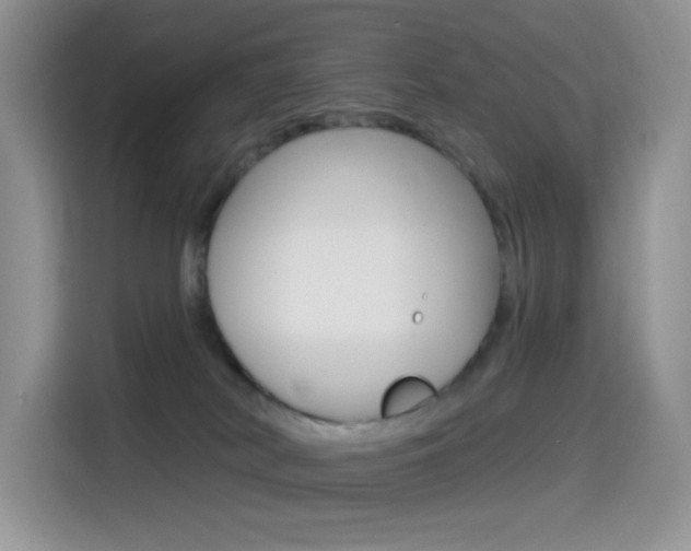 X0000114490038200910191125