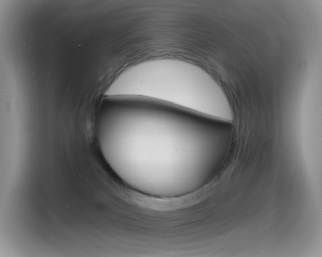 X0000114490039200910191125