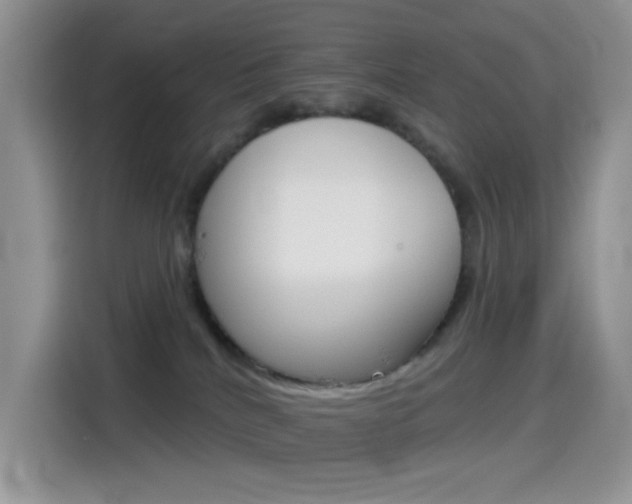 X0000114490040200910191125