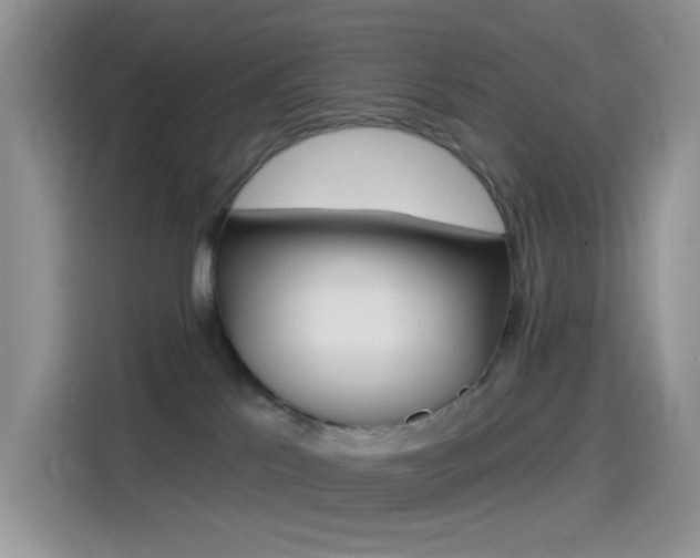 X0000114490041200910191125