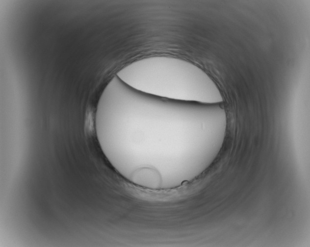X0000114490042200910191125