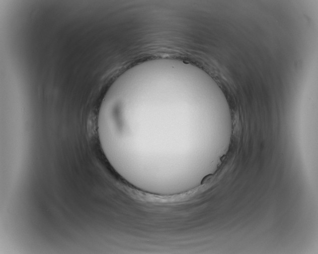 X0000114490043200910191125