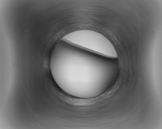 X0000114490044200910191125