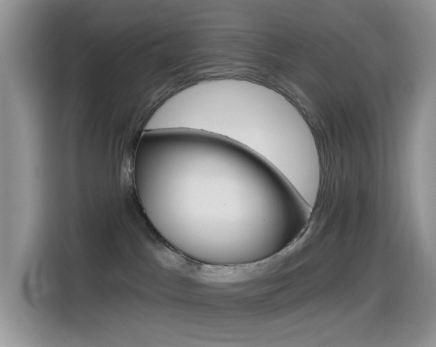 X0000114490045200910191125