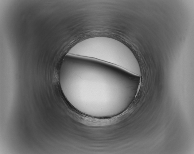 X0000114490048200910191125