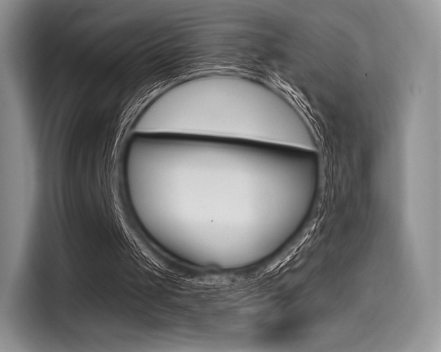 X0000114490049200910191124