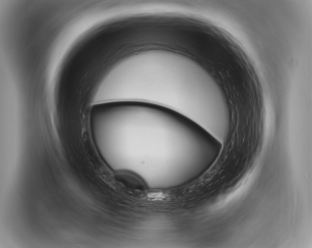 X0000114490050200910191124