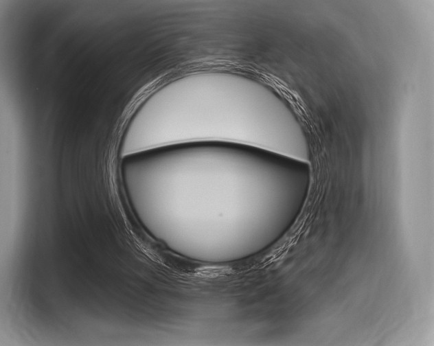 X0000114490051200910191124
