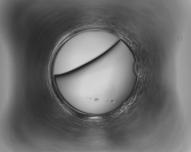 X0000114490053200910191125