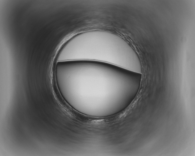 X0000114490054200910191125