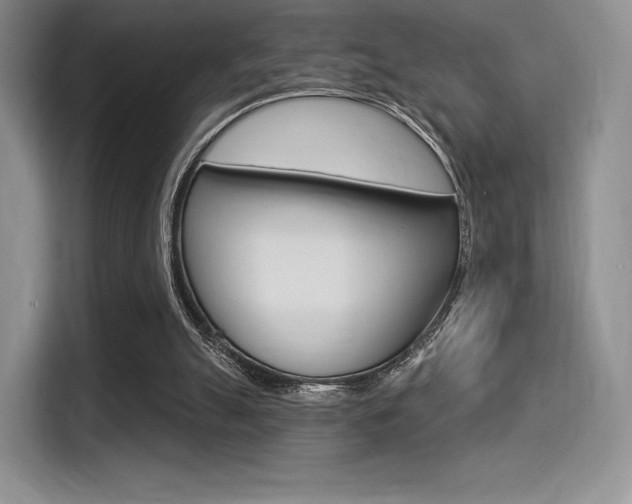 X0000114490055200910191125