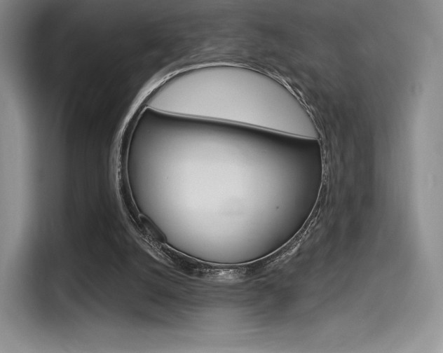 X0000114490056200910191125