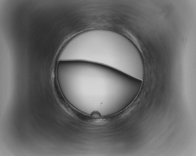 X0000114490059200910191125