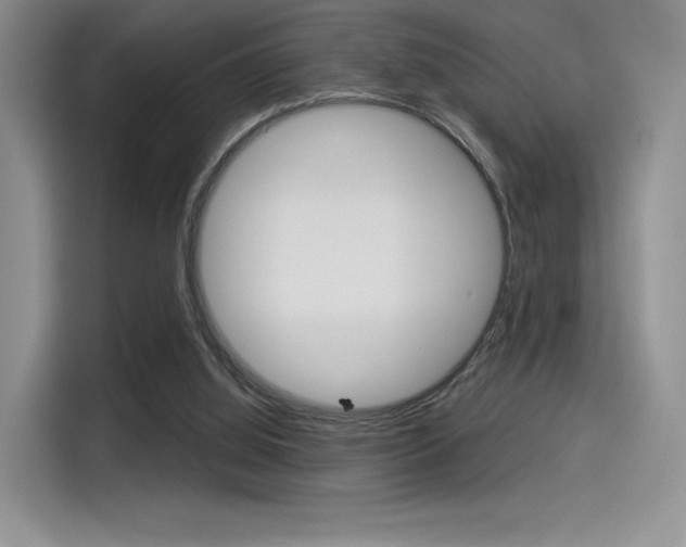 X0000114490060200910191125