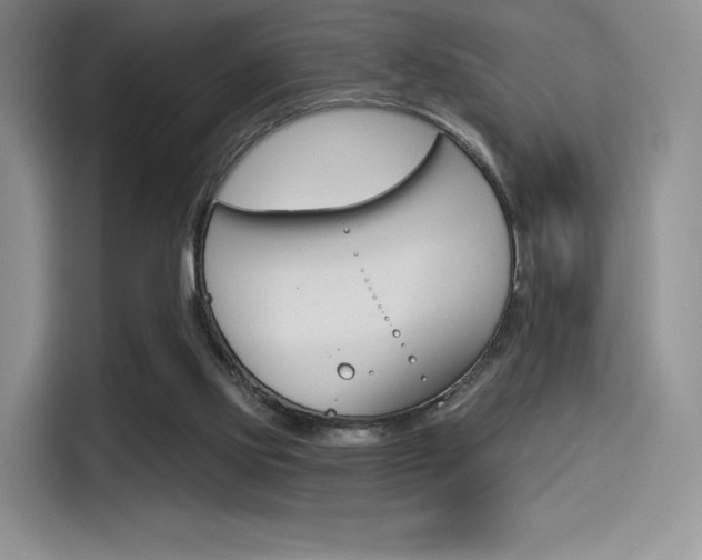 X0000114490061200910191125