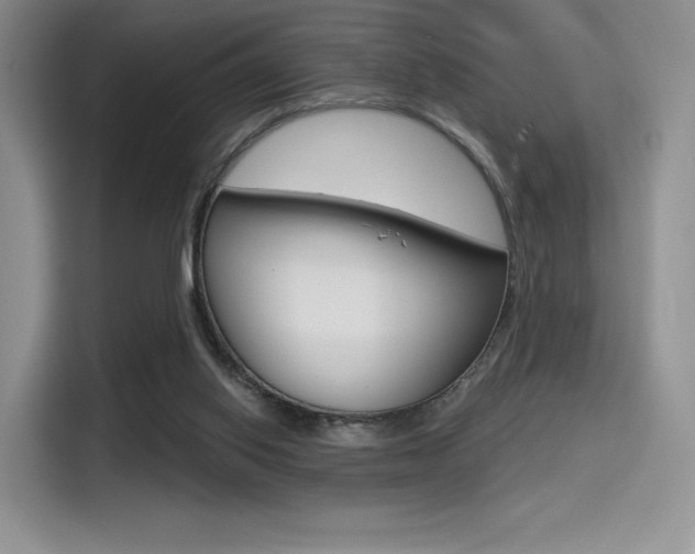 X0000114490062200910191125