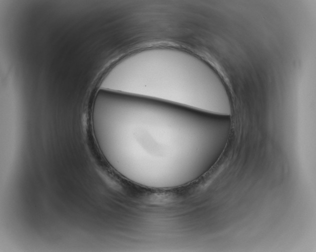 X0000114490063200910191125
