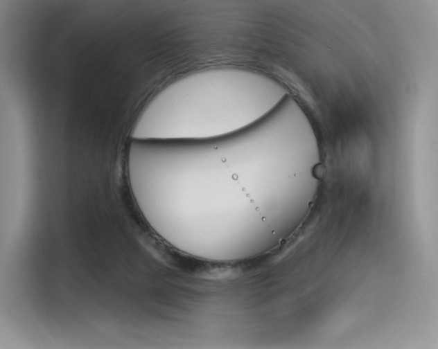 X0000114490065200910191125
