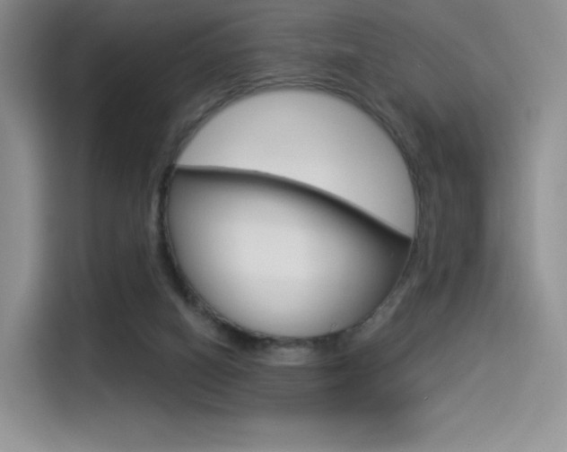 X0000114490066200910191125