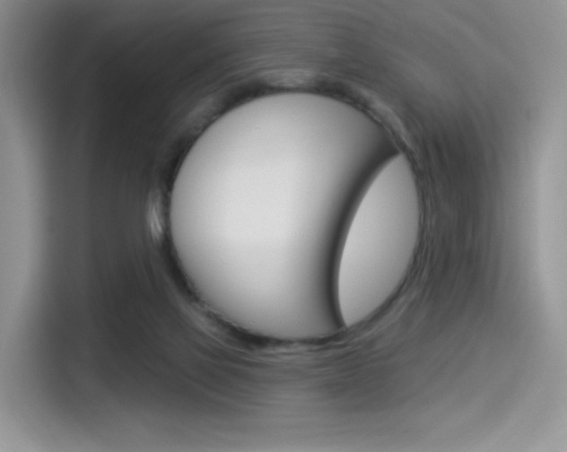 X0000114490069200910191125