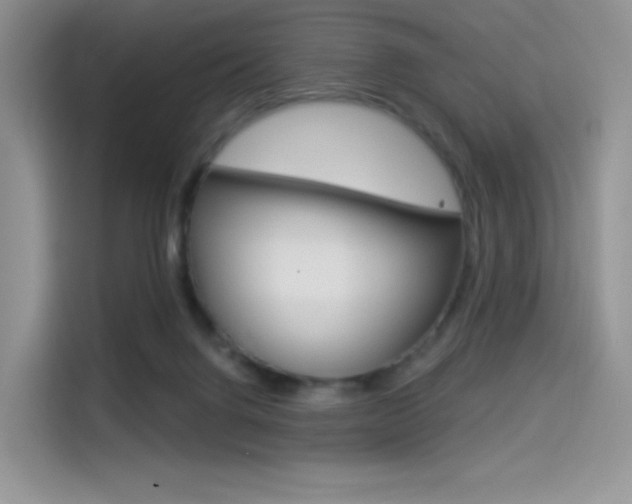 X0000114490072200910191125