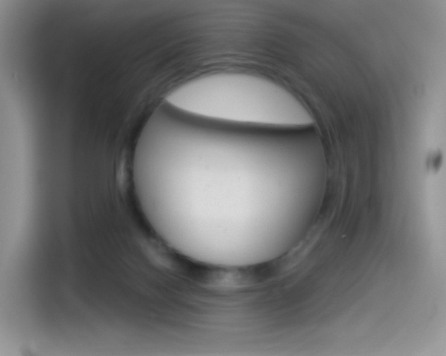 X0000114490074200910191125