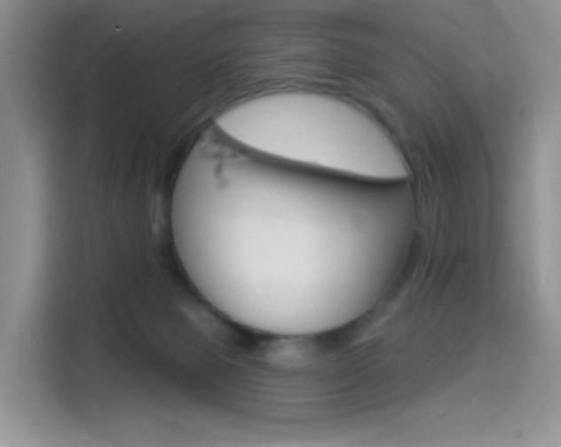 X0000114490077200910191125