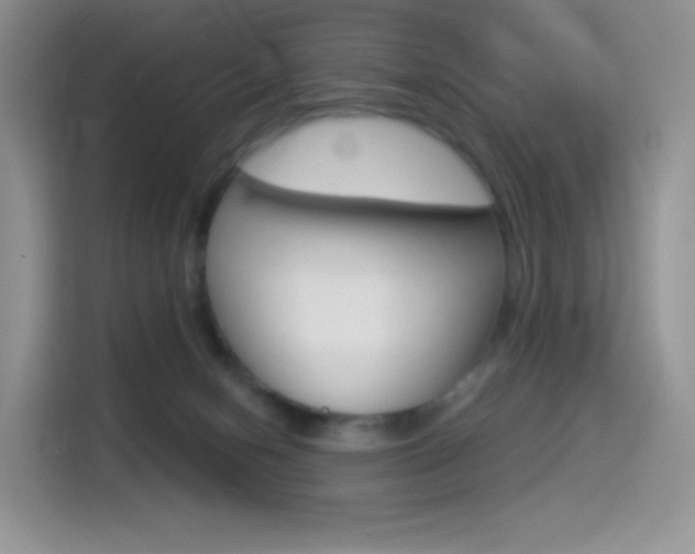 X0000114490078200910191125