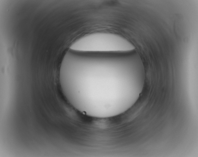X0000114490079200910191125