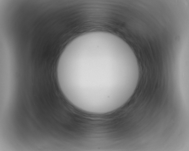X0000114490080200910191125