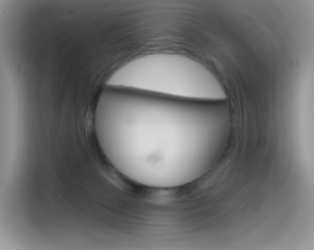 X0000114490081200910191125