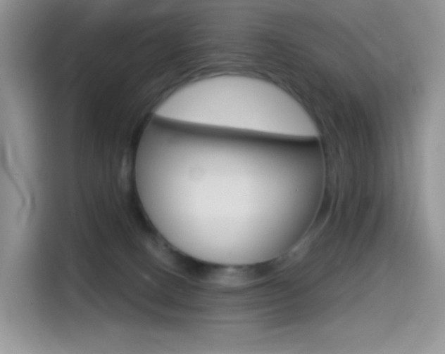 X0000114490082200910191125