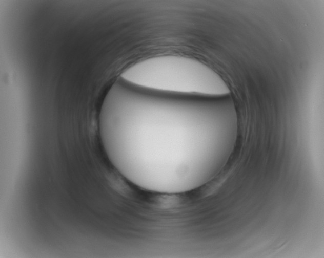X0000114490085200910191125