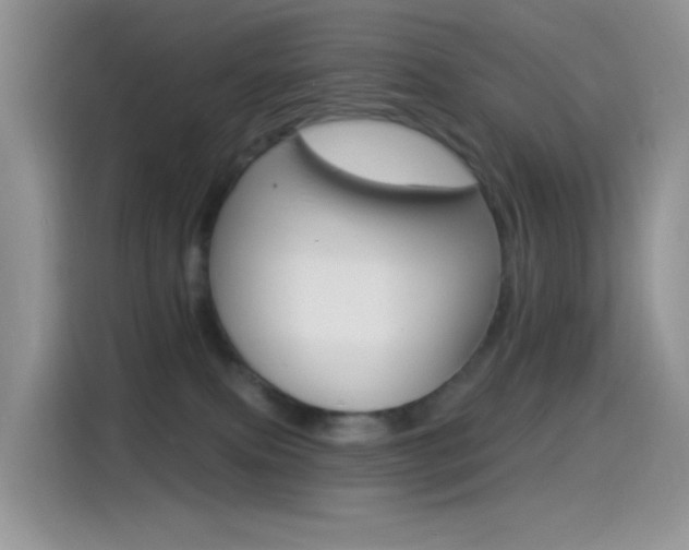 X0000114490087200910191125