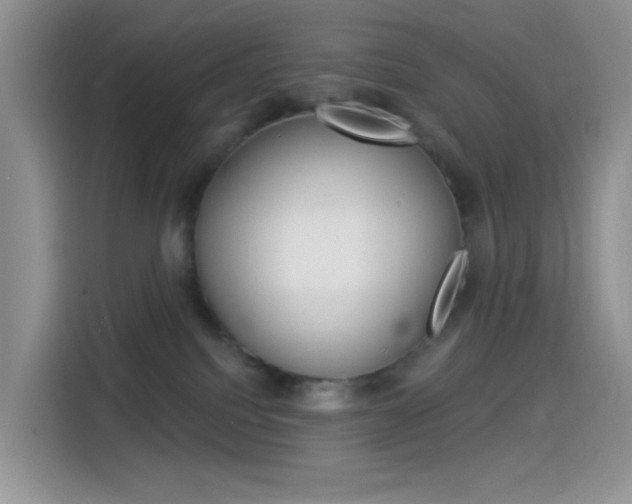 X0000114490088200910191125