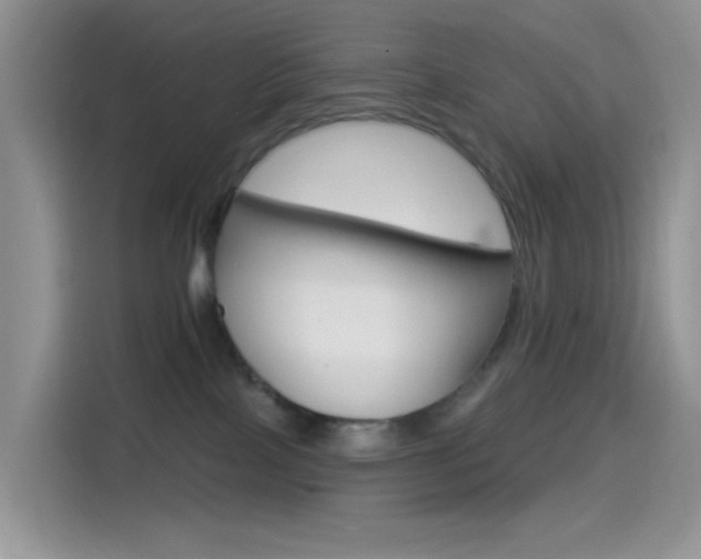 X0000114490089200910191125