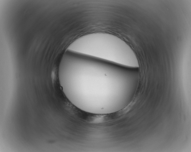 X0000114490090200910191125