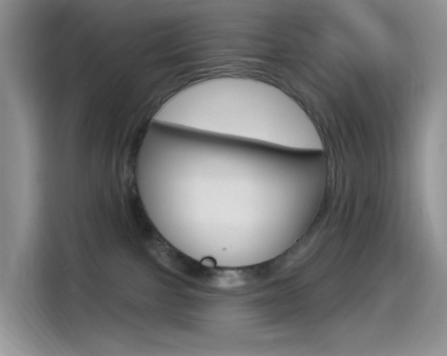 X0000114490091200910191125