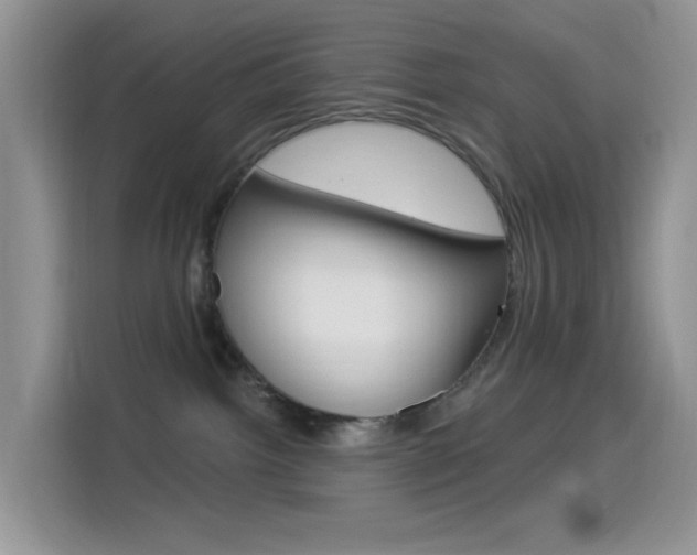 X0000114490092200910191125