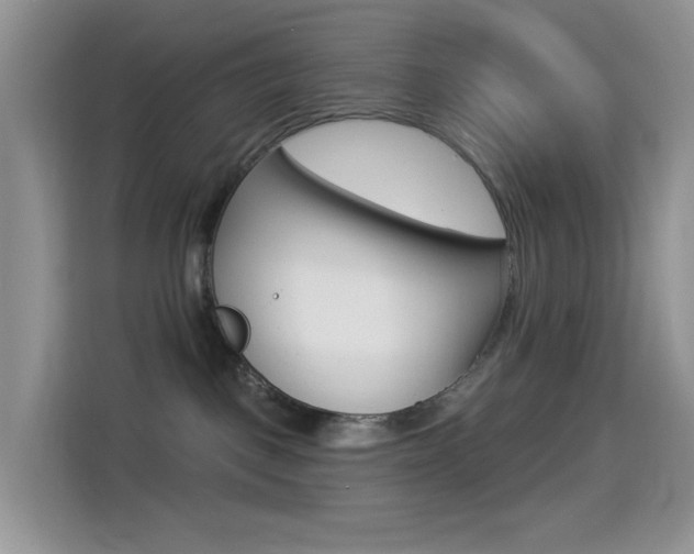 X0000114490093200910191125