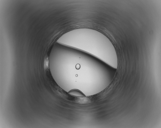X0000114490095200910191125