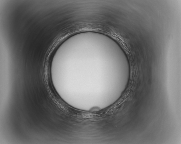X0000114490098200910191124