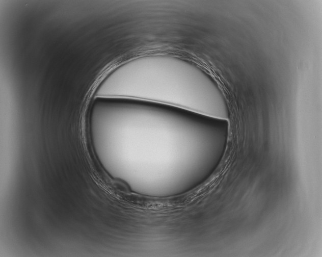 X0000114490099200910191124