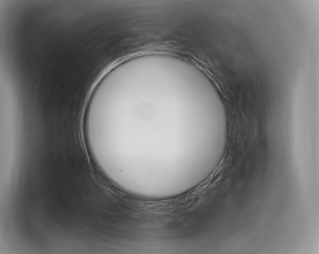 X0000114490100200910191124