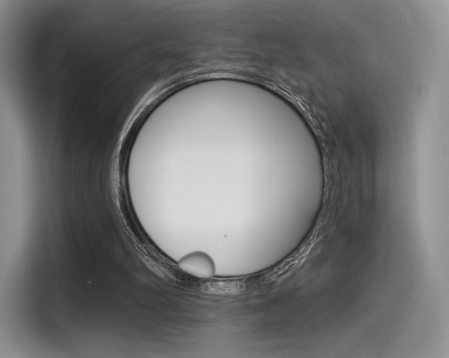 X0000114490102200910191124