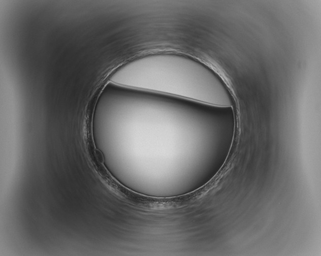 X0000114490105200910191124